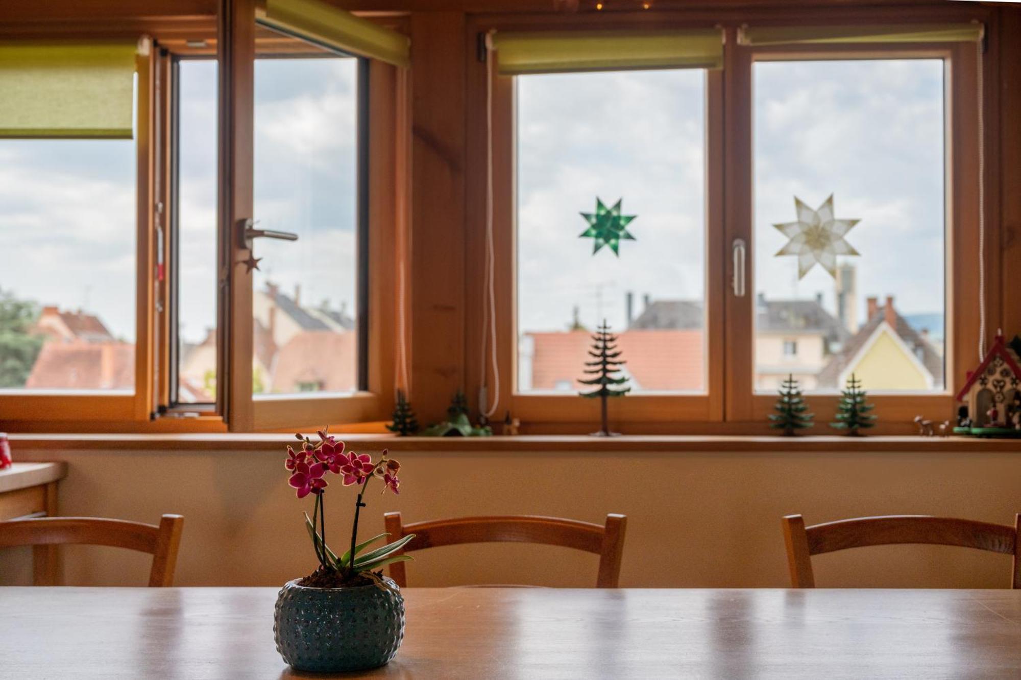 Combles & Vous Apartment กอลมาร์ ภายนอก รูปภาพ